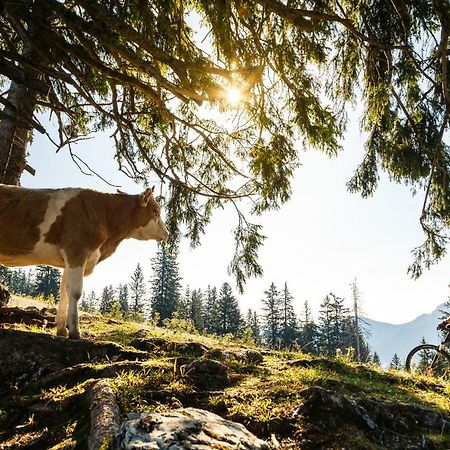 Ferienwohnung Schifterhof Ruhpolding Zewnętrze zdjęcie