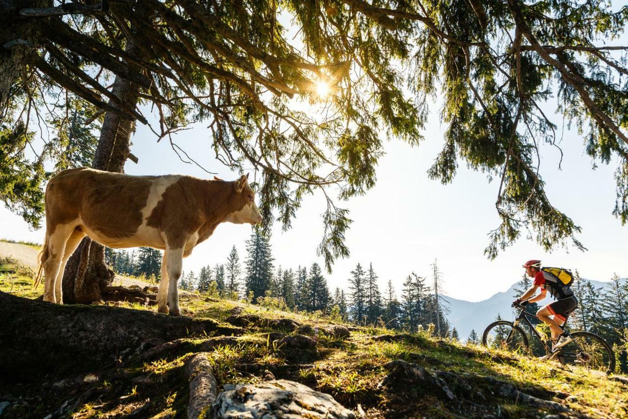 Ferienwohnung Schifterhof Ruhpolding Zewnętrze zdjęcie